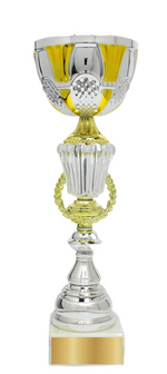 Chargez l'image dans la visionneuse de la galerie,Personalisierter Premium Pokal in Silber &amp; Gold – 41 cm.
